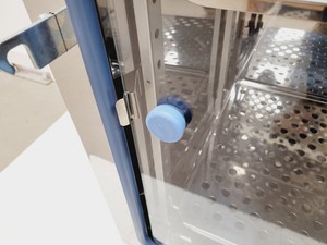 Thumbnail image of Thermo Scientific Heratherm IGS100 General Protocol Microbiological Incubator