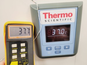 Thumbnail image of Thermo Scientific Heratherm IGS100 General Protocol Microbiological Incubator