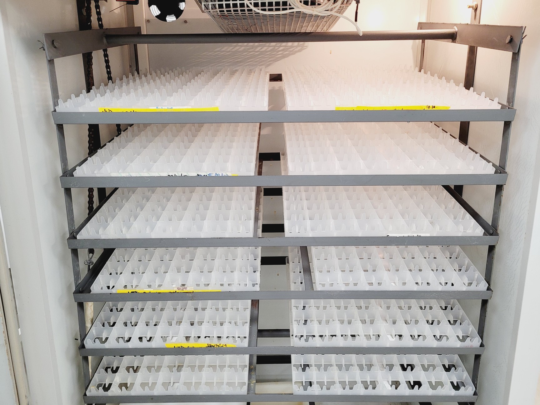 Image of Oaken Commercial Incubator & Hatcher Lab