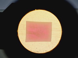 Thumbnail image of Olympus CK2 CK2-TR Inverted Microscope with 4 x Objectives Lab