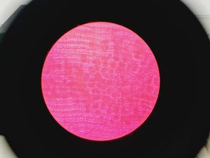 Thumbnail image of Olympus CK2 CK2-TR Inverted Microscope with 4 x Objectives Lab