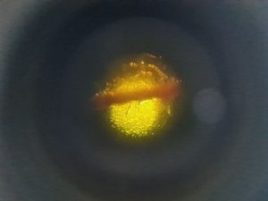 Thumbnail image of Olympus IMT-2 Inverted Research Microscope with 3 x Objectives, SPlan, Ph3 Lab