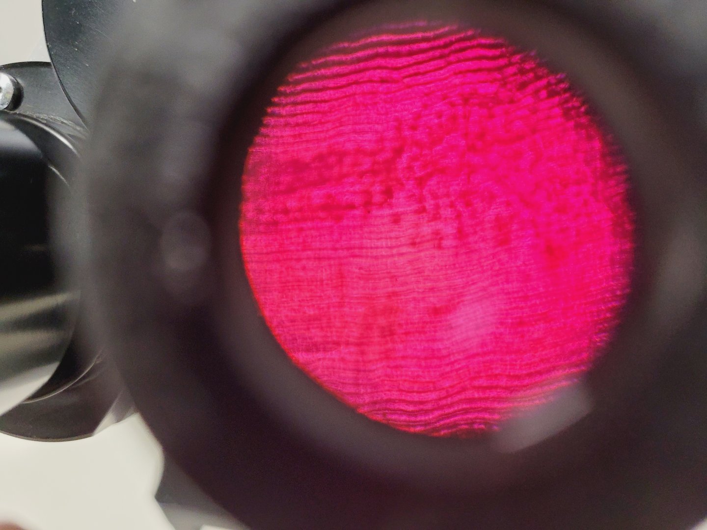 Image of Zeiss 47 09 14 Microscope Trinocular Head with Power Supply