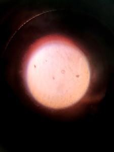 Thumbnail image of Zeiss AxioVert 200M Microscope, Prior CS152V2, CS100; H29XYE, EBQ 100 Lab