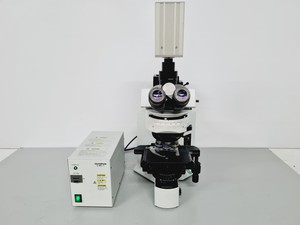 Image of Olympus BX51TF Microscope With Hamamatsu C4742-95 Digital CamerA