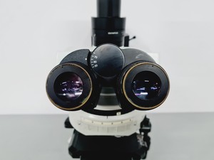 Thumbnail image of Olympus BX51TF Microscope With Hamamatsu C4742-95 Digital CamerA