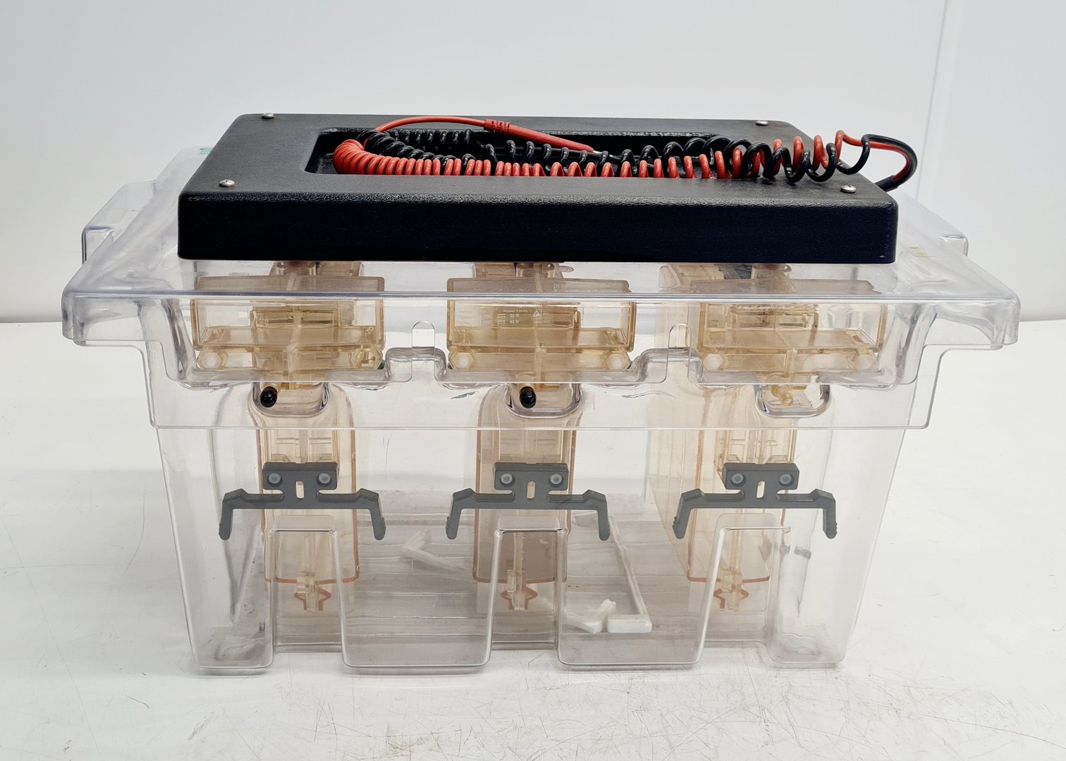 Image of Bio-Rad Protean II Large XI Gel Electrophoresis Cell Lab