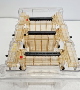 Thumbnail image of Bio-Rad Protean II Large XI Gel Electrophoresis Cell Lab