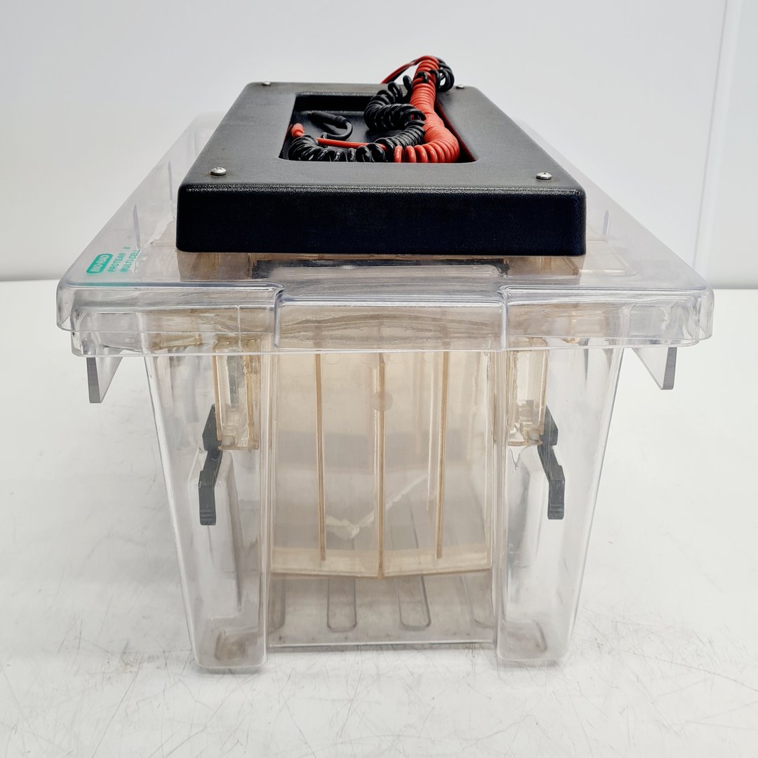 Image of Bio-Rad Protean II Large XI Gel Electrophoresis Cell Lab