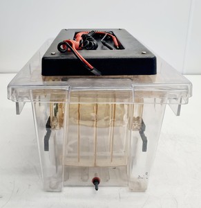 Thumbnail image of Bio-Rad Protean II Large XI Gel Electrophoresis Cell Lab