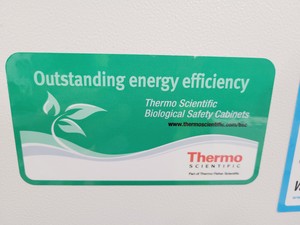 Thumbnail image of Thermo Scientific Safe 2020 Safety Cabinet Type S2020 1.5 With Stand