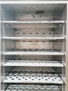 Thumbnail image of Wheaton Science Products Model: 1057606-D Reach-In Co2 Incubator Lab