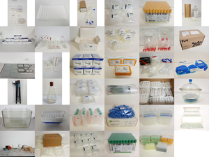 Thumbnail image of Large Job Lot of Laboratory Glassware, Plasticware & Consumables Lab