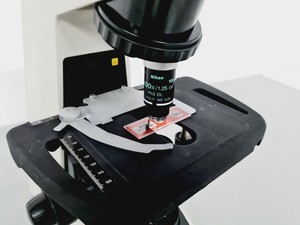 Thumbnail image of Nikon Eclipse E200 Microscope with 1 x Objective Lab
