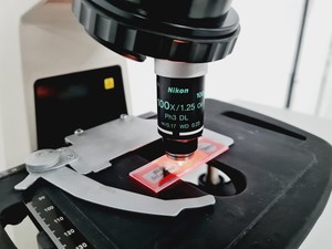 Thumbnail image of Nikon Eclipse E200 Microscope with 1 x Objective Lab