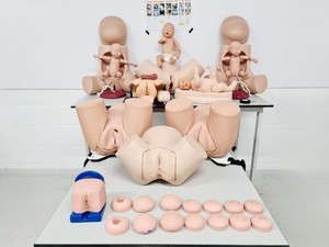 Image of Maternity Birthing Simulator Cervix Examination - Limbs & Things - Adam Rouilly