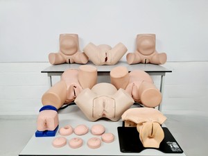 Thumbnail image of Maternity Birthing Simulator Cervix Examination - Limbs & Things - Adam Rouilly