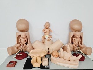 Thumbnail image of Maternity Birthing Simulator Cervix Examination - Limbs & Things - Adam Rouilly