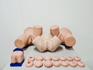 Thumbnail image of Maternity Birthing Simulator Cervix Examination - Limbs & Things - Adam Rouilly