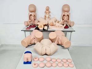 Thumbnail image of Maternity Birthing Simulator Cervix Examination - Limbs & Things - Adam Rouilly