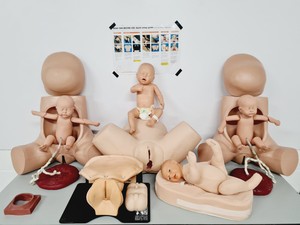 Thumbnail image of Maternity Birthing Simulator Cervix Examination - Limbs & Things - Adam Rouilly