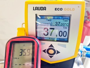 Thumbnail image of Lauda Eco Gold with Lauda Eco RE 620 G Water Bath Lab