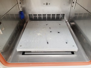 Thumbnail image of Lab Companion SIF-5000R Refrigerated Incubated Shaker - Shaking Incubator Lab