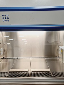 Thumbnail image of Thermo Fisher Safe 2020 1.2 Class 2 Biological Safety Cabinet Lab
