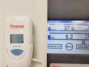 Thumbnail image of Thermo Scientific HERAcell 150i CO2 Incubator Double Stack Lab