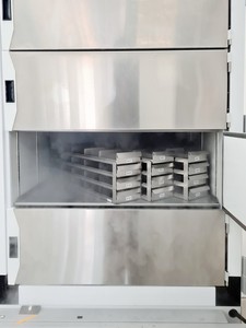 Thumbnail image of Thermo Fisher TDE60086FV Ultra Low Temperature Freezer Lab