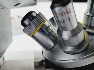 Thumbnail image of Leitz Diavert Inverted Microscope Lab