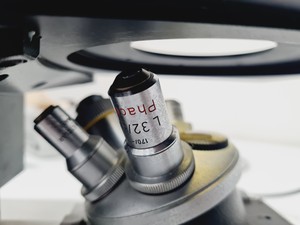 Thumbnail image of Leitz Diavert Inverted Microscope Lab