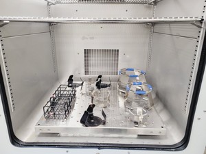 Thumbnail image of Thermo Scientific MaxQ 6000 Incubator Shaker Model SHKE6000-1CE Lab