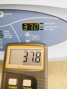 Thumbnail image of Thermo Scientific MaxQ 6000 Incubator Shaker Model SHKE6000-1CE Lab