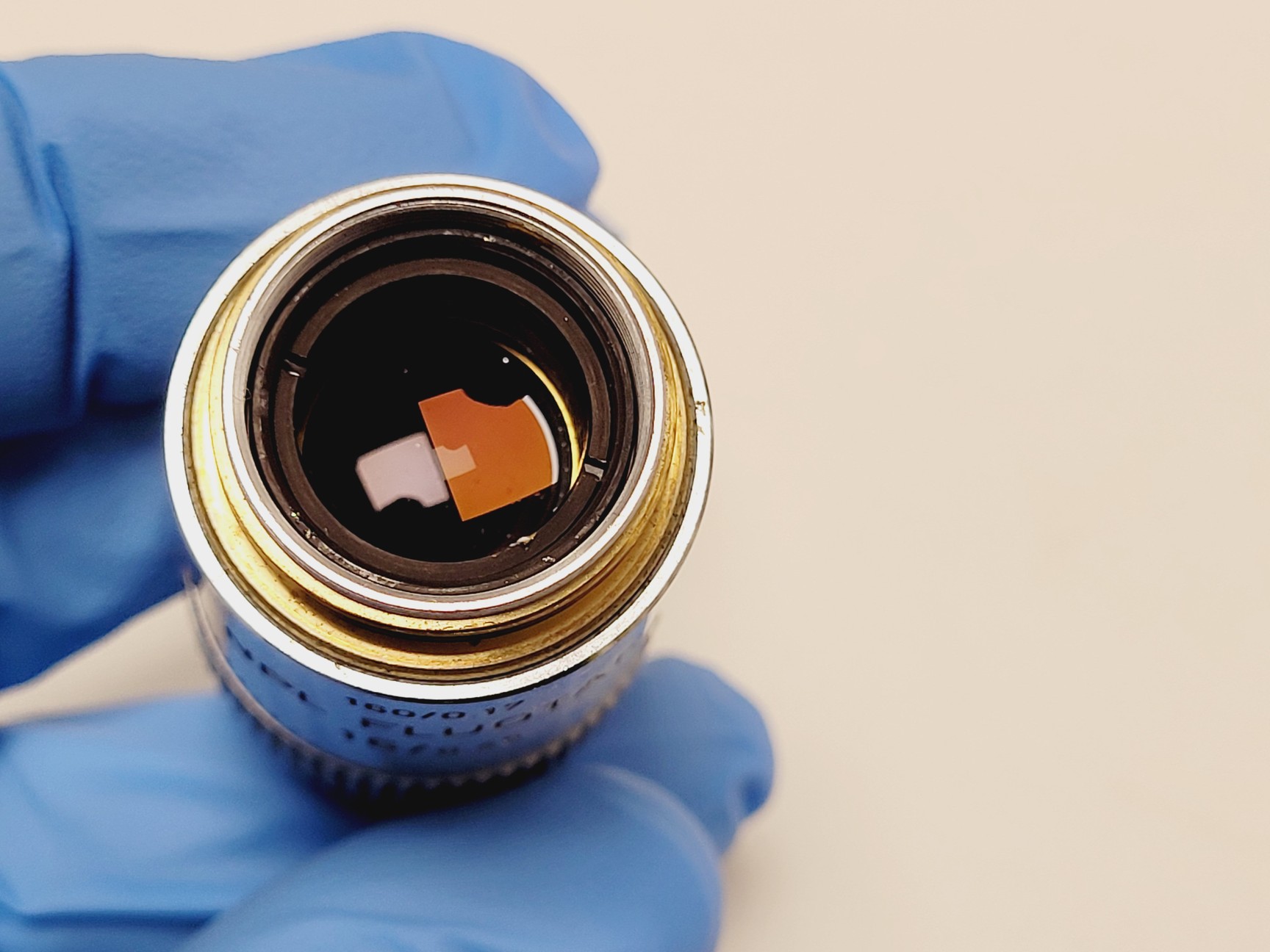 Image of Leitz Dialux 22 Fluorescence Microscope With Camera + Control Unit Lab Faulty