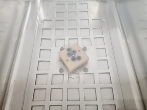 Thumbnail image of Grant OLS 200 Shaking Waterbath Lab