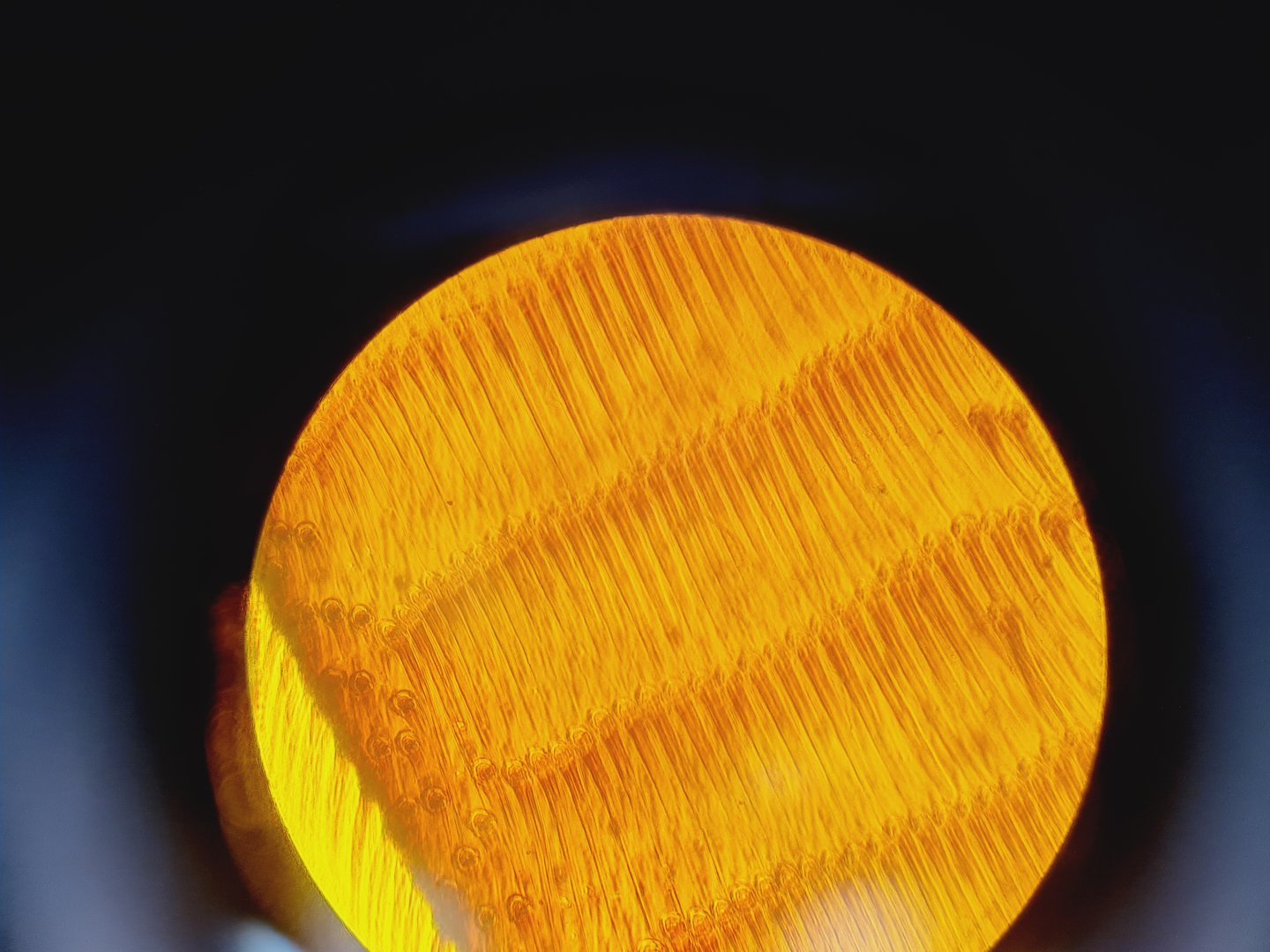 Image of Carl Zeiss Axioskop El Einsatz Fluorescence Microscope w/ 5 Objectives