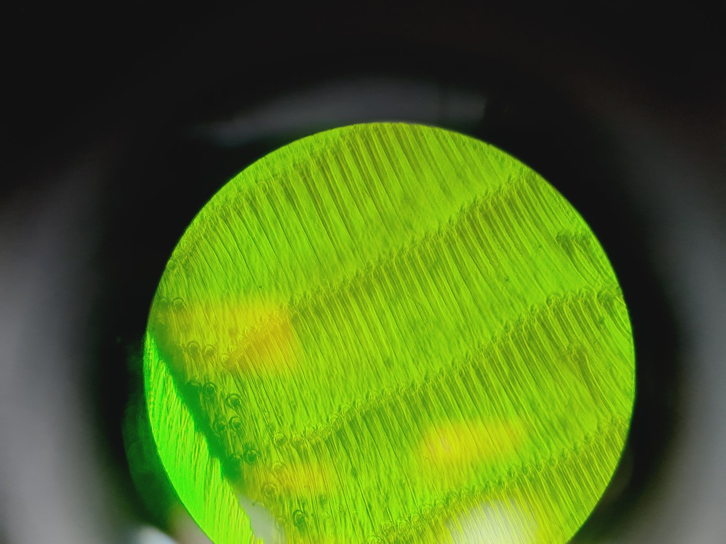 Image of Carl Zeiss Axioskop El Einsatz Fluorescence Microscope w/ 5 Objectives