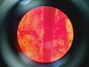 Thumbnail image of Carl Zeiss Axiovert 35M Inverted Microscope (No Stage or PSU)