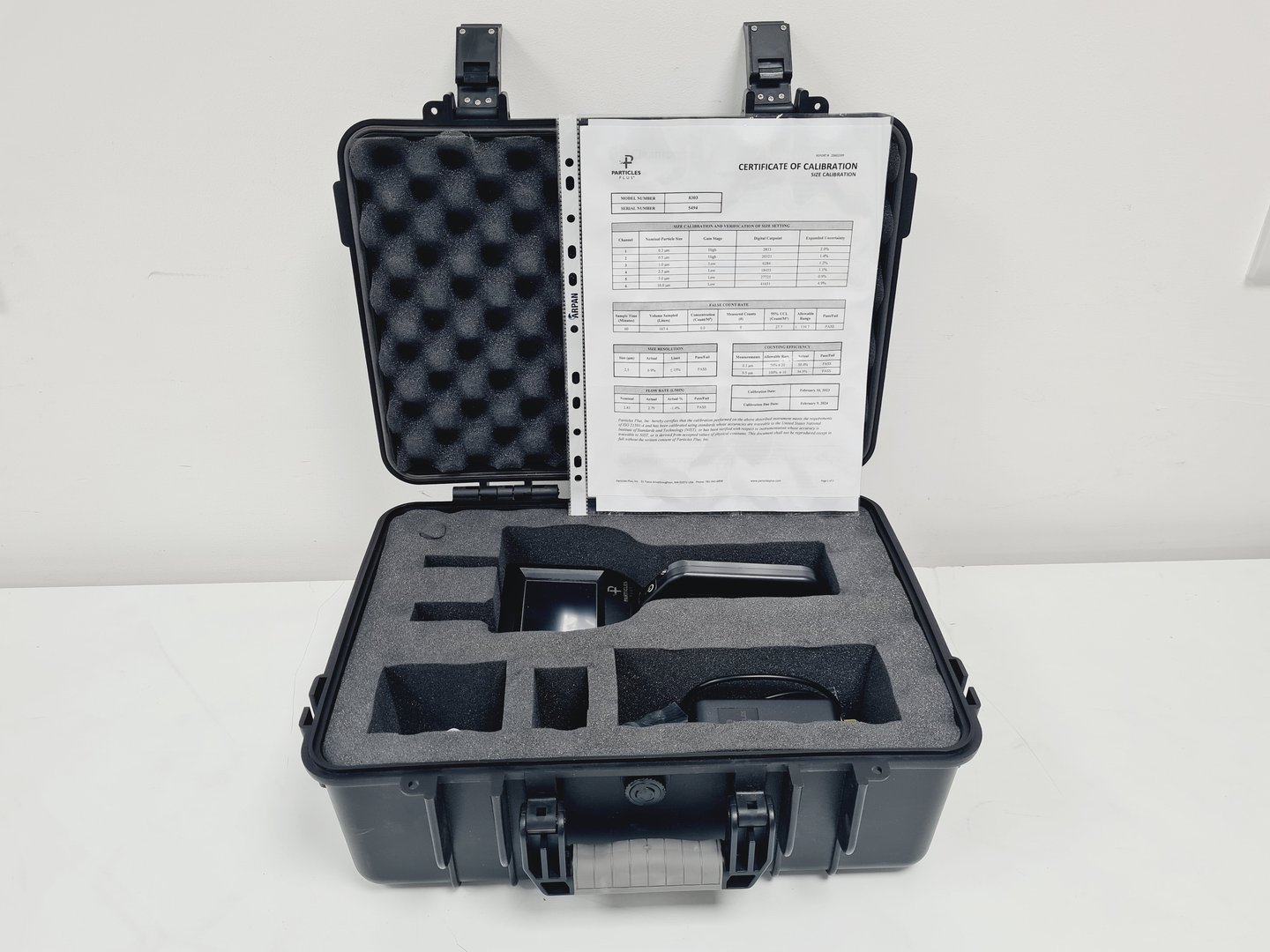Particle Plus Handheld 8303