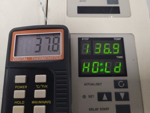 Thumbnail image of Sanyo Orbital Shaking Incubator IOX402.XX1.C Lab