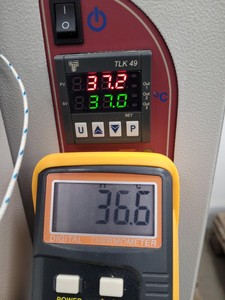 Thumbnail image of LTE IP150 Laboratory Incubator Lab