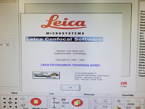 Thumbnail image of Leica Microsystems Type - TCS SP2 Confocal Microscope System Lab