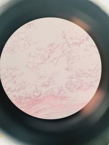 Thumbnail image of Nikon Microscope Objective Plan Fluor 20X/0.50 DIC M/N2 ∞/0.17 WD 2.1