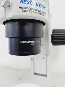 Thumbnail image of Olympus Stereo SZX7 Microscope