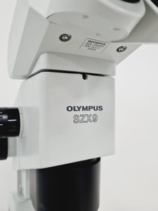 Thumbnail image of Olympus Stereo Microscope SZX9 with Binocular Head and Transmitted Light Stand 