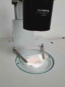 Thumbnail image of Olympus Stereo Microscope SZX9 with Binocular Head and Transmitted Light Stand 