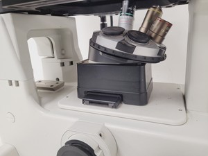 Thumbnail image of Nikon Eclipse TE200 Microscope w/ 3 x Objectives Plan, Ph w/  TE-PS100 PSU Lab