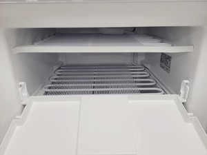 Thumbnail image of Thermo Scientific 232F-AEV-TS ES Series Freezer Lab