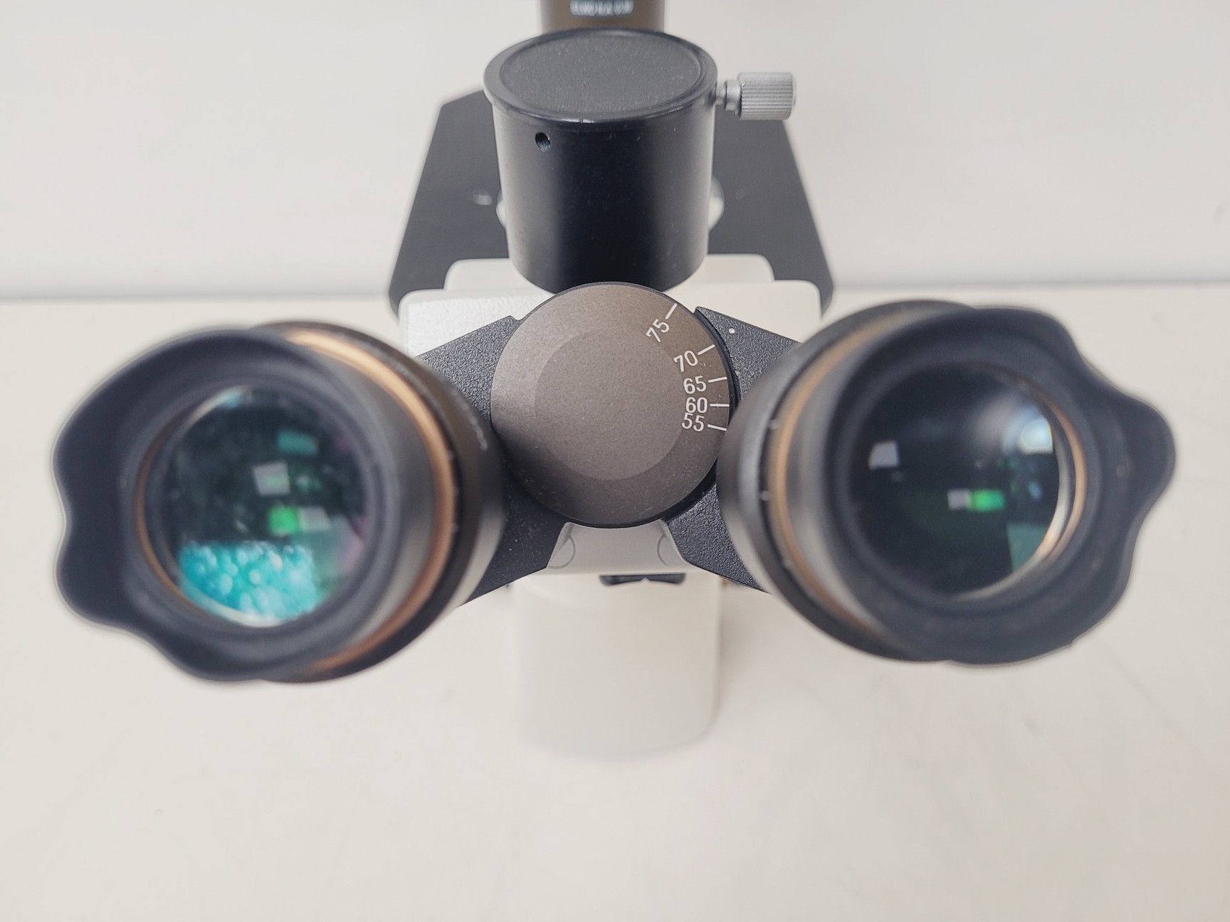 Image of MOTIC AE31 Series Inverted Microscope with 4 x Objectives Lab